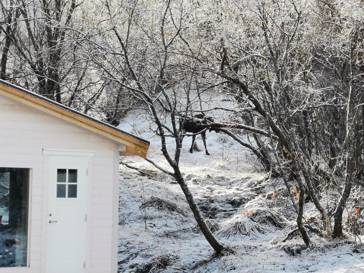 Relaxing Cabin Βίλα Gravdal  Εξωτερικό φωτογραφία